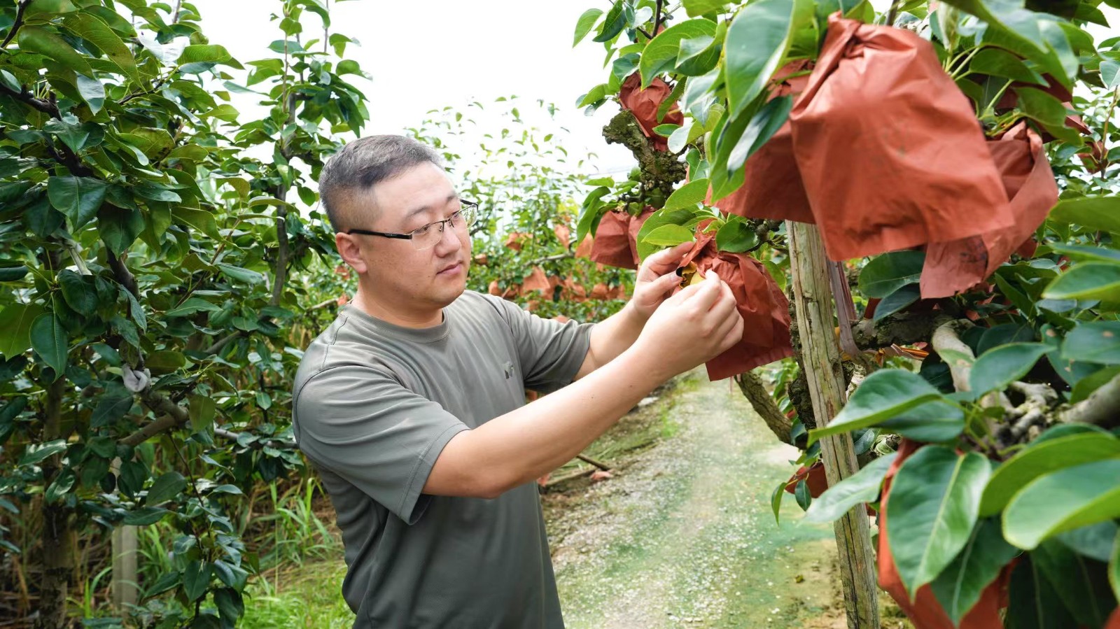 微信圖片_20250819152204.jpg 微信圖片_20250819152204.jpg