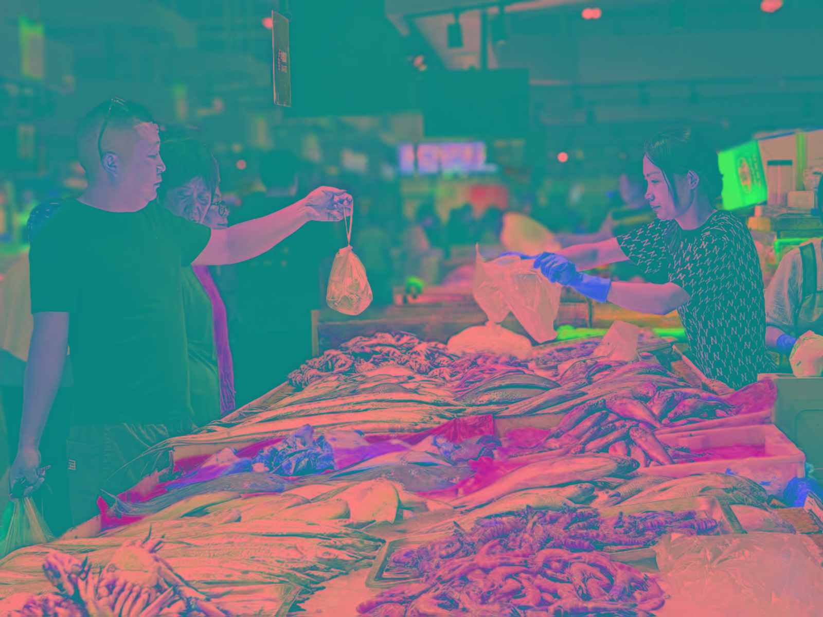 1da124fa66d5ef722239454b95f14151.jpg 1da124fa66d5ef722239454b95f14151.jpg