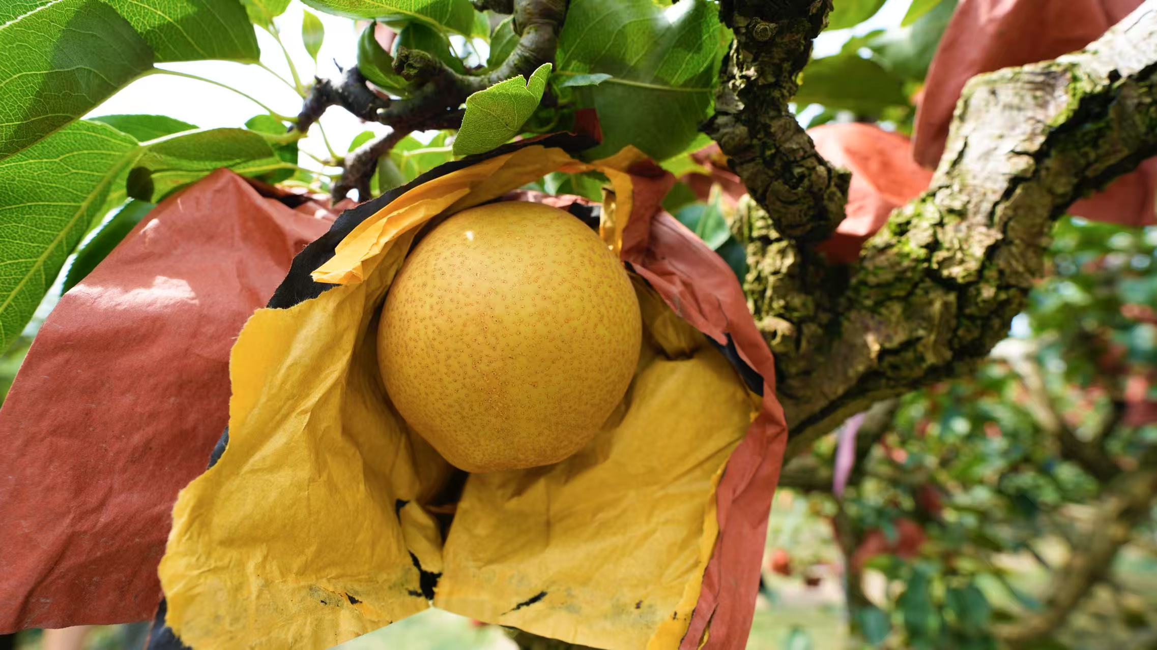 微信圖片_20250819152214.jpg 微信圖片_20250819152214.jpg